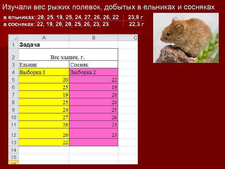 Изучали вес рыжих полевок, добытых в ельниках и сосняках в ельниках: 20, 25, 19,