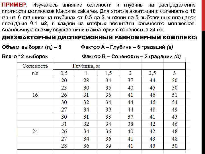 ПРИМЕР. Изучалось влияние солености и глубины на распределение плотности моллюсков Macoma calcarea. Для этого