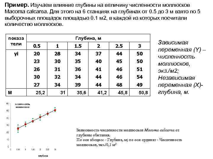 Пример. Изучаем влияние глубины на величину численности моллюсков Macoma calcarea. Для этого на 6