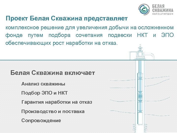 Проект Белая Скважина представляет комплексное решение для увеличения добычи на осложненном фонде путем подбора
