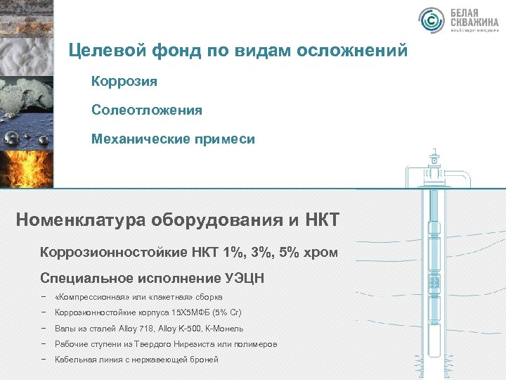 Целевой фонд по видам осложнений Коррозия Солеотложения Механические примеси Номенклатура оборудования и НКТ Коррозионностойкие