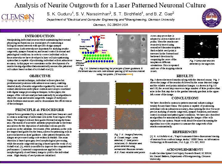 Analysis of Neurite Outgrowth for a Laser Patterned Neuronal Culture S. K. Guduru 1,