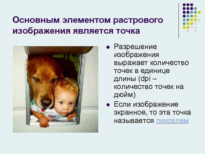 Основным элементом растрового изображения является точка l l Разрешение изображения выражает количество точек в