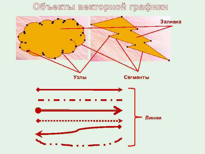 Объекты векторной графики Заливка Узлы Сегменты Линии 