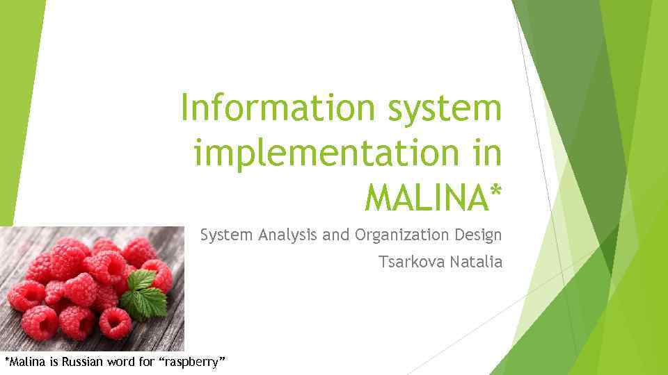 Information system implementation in MALINA* System Analysis and Organization Design Tsarkova Natalia *Malina is