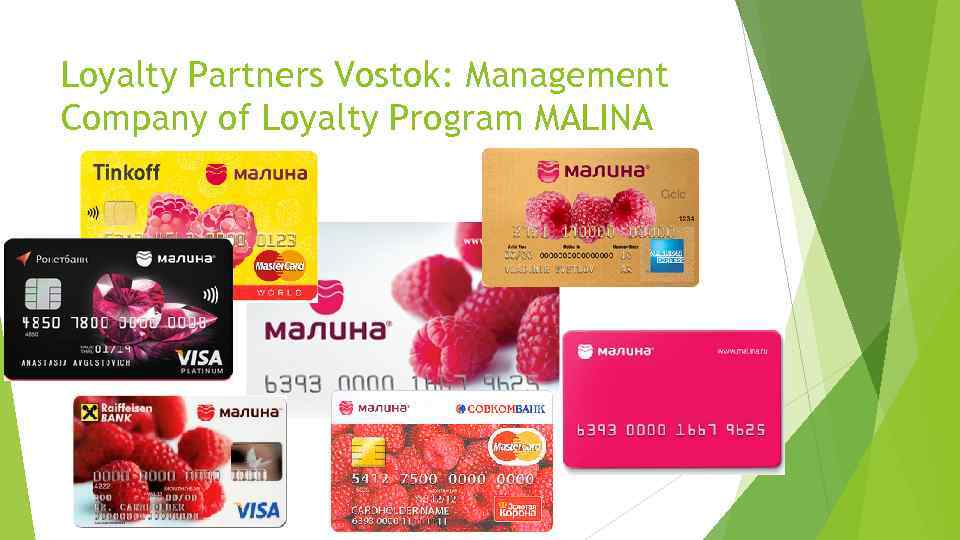 Loyalty Partners Vostok: Management Company of Loyalty Program MALINA 