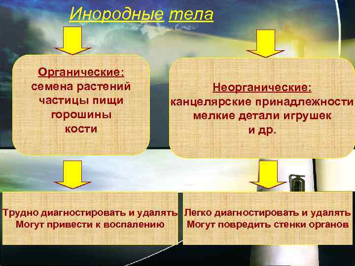 Инородные тела Органические: семена растений частицы пищи горошины кости Неорганические: канцелярские принадлежности мелкие детали