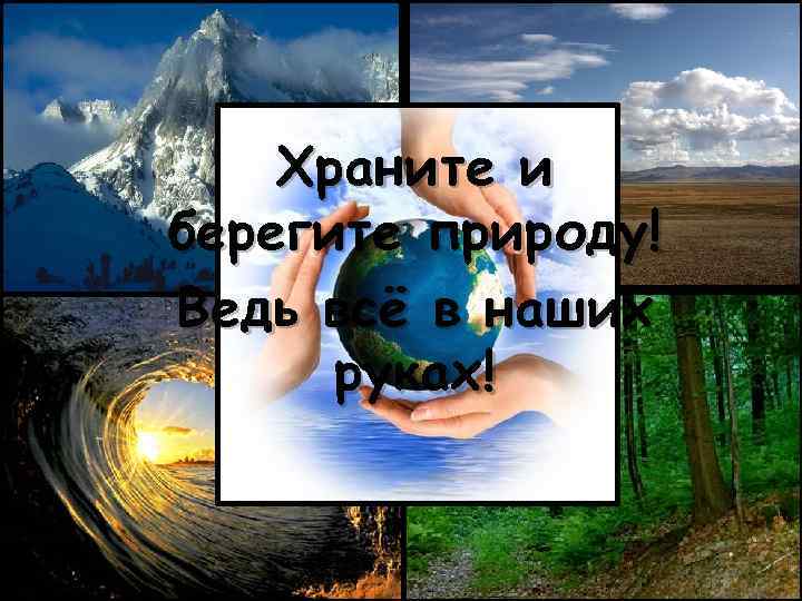 Храните и берегите природу! Ведь всё в наших Ведь руках! 