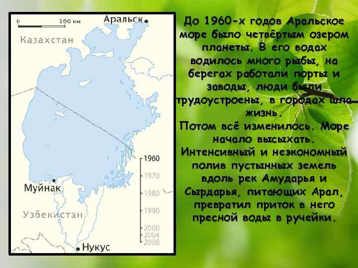 До 1960 -х годов Аральское море было четвёртым озером планеты. В его водах водилось