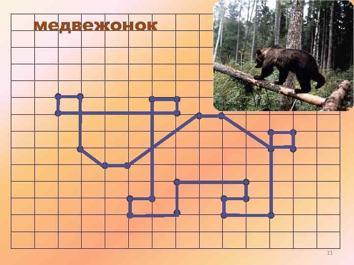 медвежонок 11 