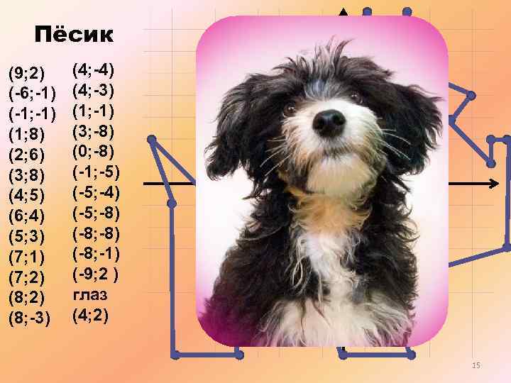Пёсик (9; 2) (-6; -1) (-1; -1) (1; 8) (2; 6) (3; 8) (4;