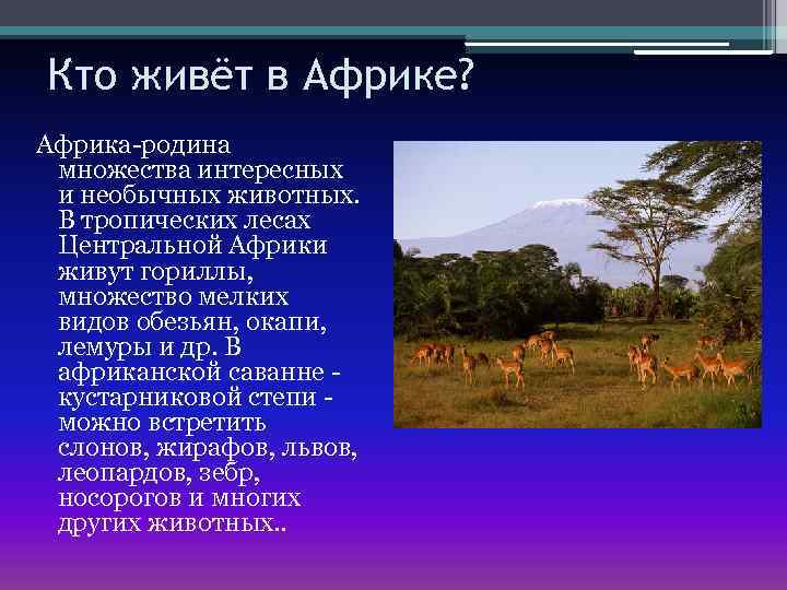 Кто живёт в Африке? Африка-родина множества интересных и необычных животных. В тропических лесах Центральной