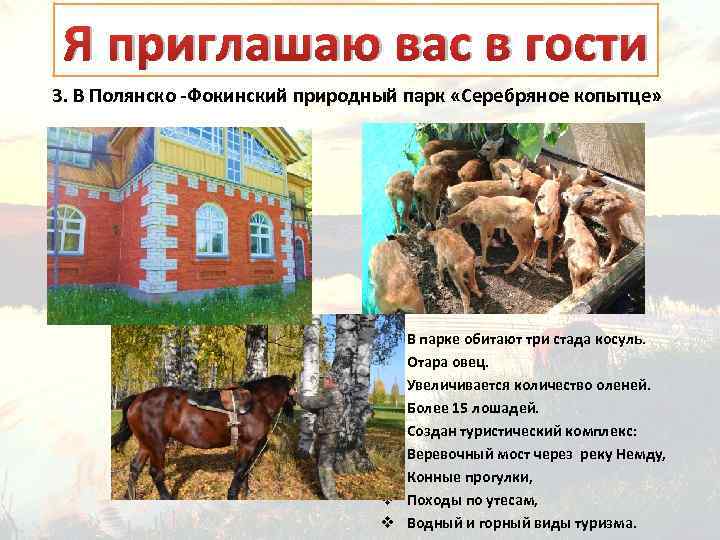 Я приглашаю вас в гости 3. В Полянско -Фокинский природный парк «Серебряное копытце» Ø