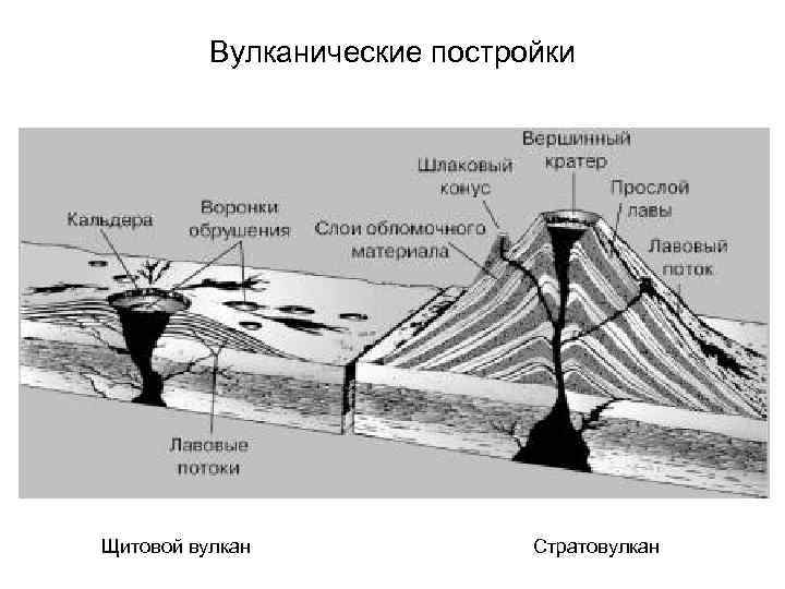 Вулканические постройки Щитовой вулкан Стратовулкан 