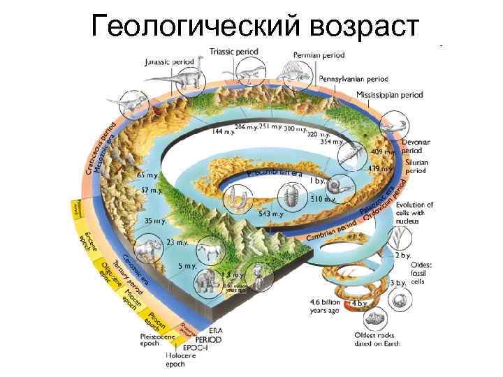 Геологический возраст 