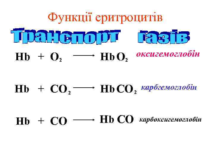 Функції еритроцитів Нb + О 2 Нb О 2 оксигемоглобін Нb + СО 2
