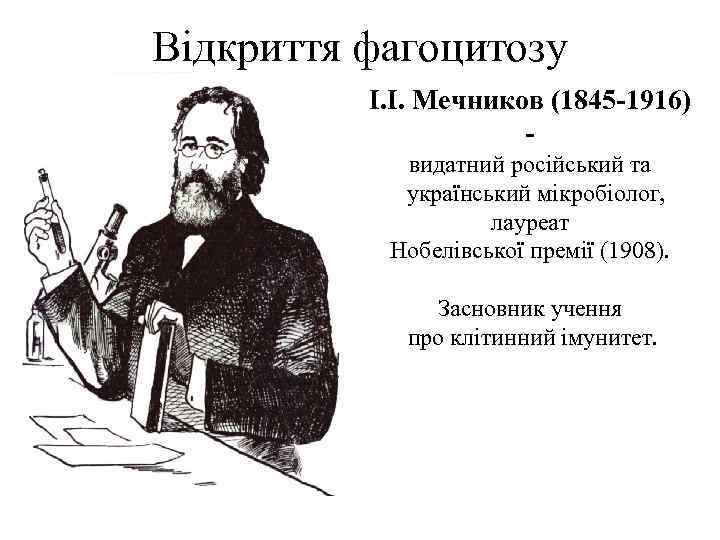 Відкриття фагоцитозу І. І. Мечников (1845 -1916) видатний російський та український мікробіолог, лауреат Нобелівської