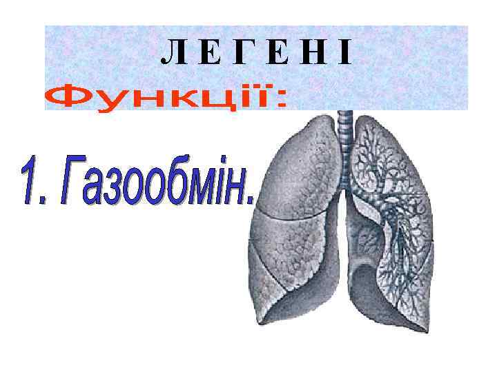 ЛЕГЕНІ 