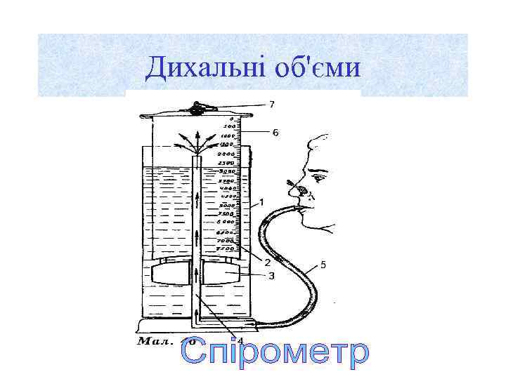 Дихальні об'єми 