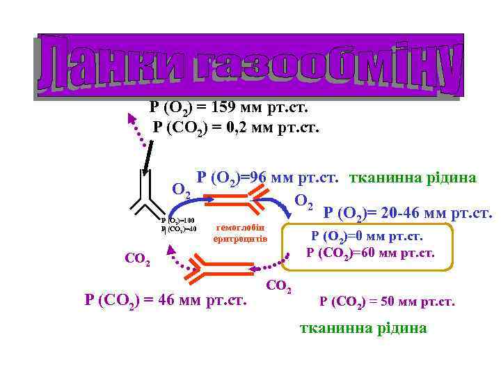 Р (О 2) = 159 мм рт. ст. Р (СО 2) = 0, 2