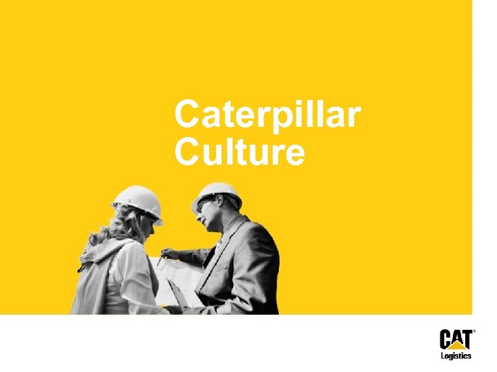 Caterpillar Culture 