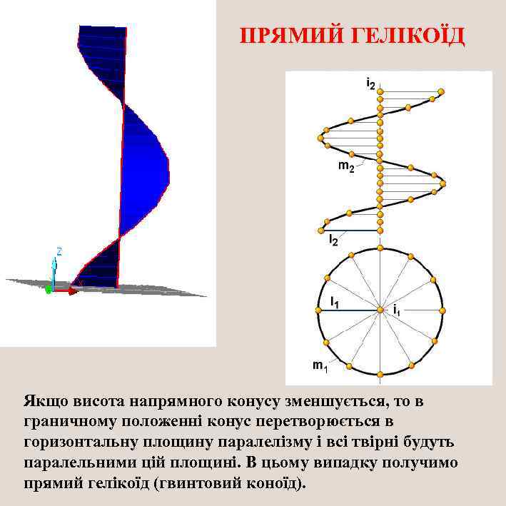 ПРЯМИЙ ГЕЛІКОЇД Якщо висота напрямного конусу зменшується, то в граничному положенні конус перетворюється в