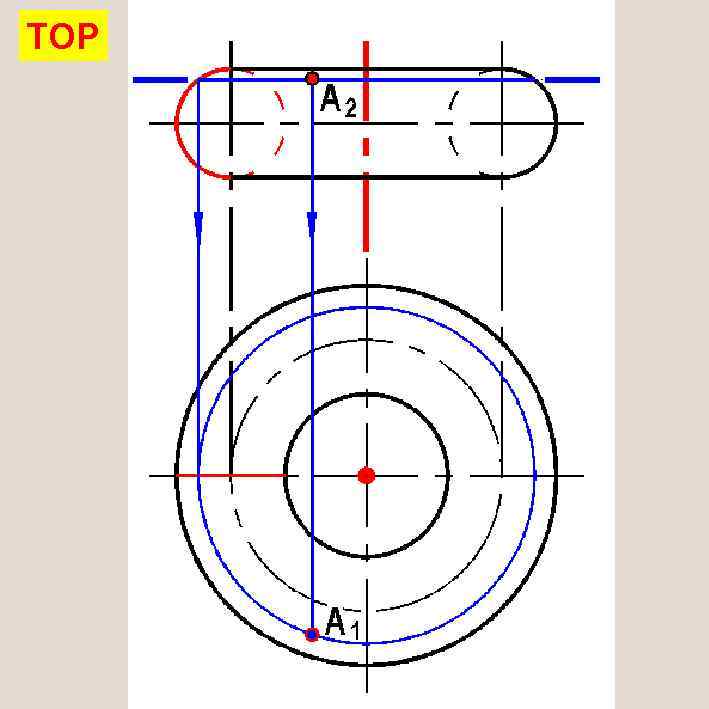 ТОР ТОЧКА НА ПОВЕРХНОСТИ ТОРА 