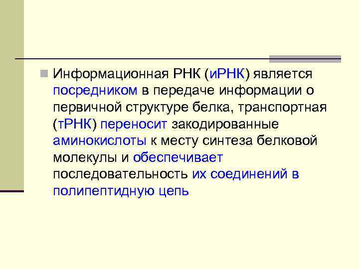 n Информационная РНК (и. РНК) является посредником в передаче информации о первичной структуре белка,