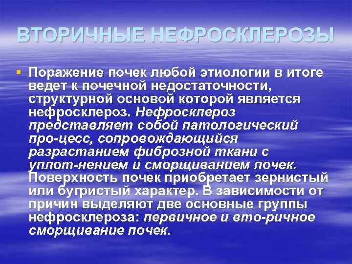 ВТОРИЧНЫЕ НЕФРОСКЛЕРОЗЫ § Поражение почек любой этиологии в итоге ведет к почечной недостаточности, структурной