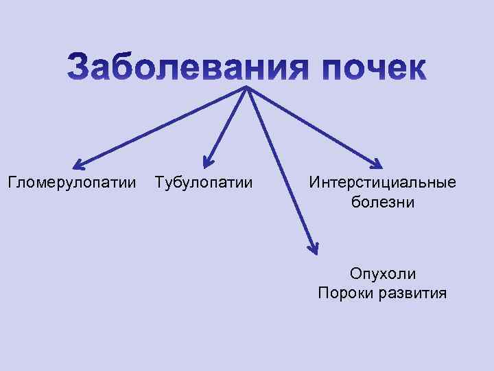 Гломерулопатии Тубулопатии Интерстициальные болезни Опухоли Пороки развития 