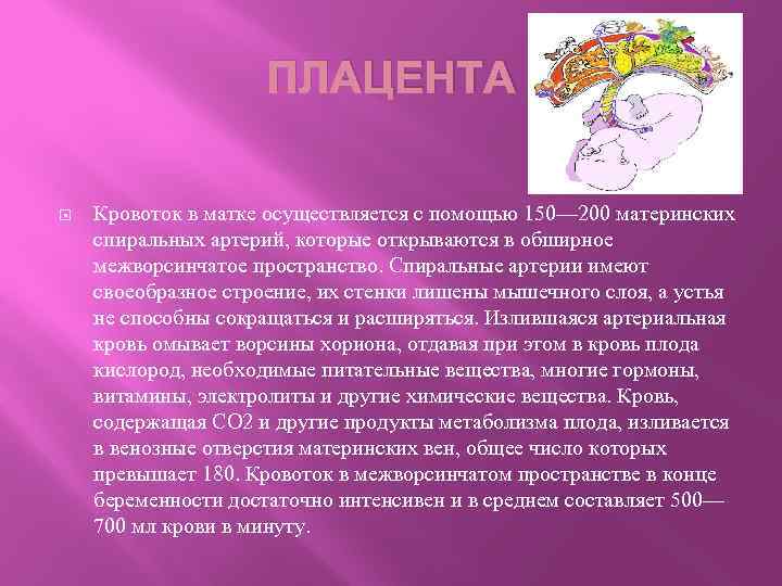 ПЛАЦЕНТА Кровоток в матке осуществляется с помощью 150— 200 материнских спиральных артерий, которые открываются