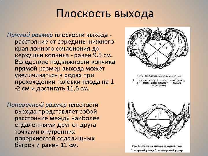 Что из нижеперечисленного не является информацией с точки зрения клода шеннона компьютер