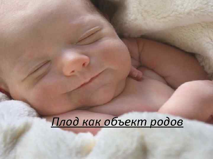 Плод как объект родов 