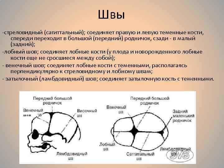 Прямой размер головки плода. Швы головки плода Акушерство. Стреловидный шов и малый Родничок. Стреловидный шов, большой и малый роднички. Роднички стреловидный венечный.