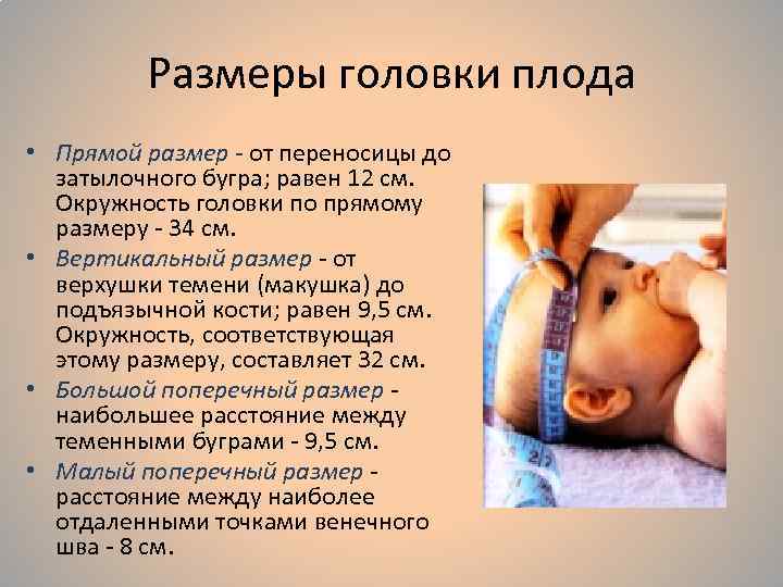 Плод как объект родов презентация