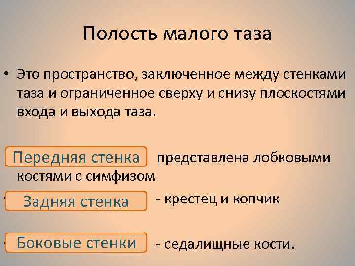 Плод как объект родов презентация