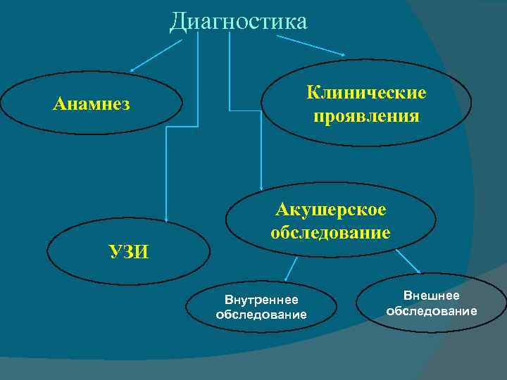 Диагностика Анамнез УЗИ Клинические проявления Акушерское обследование Внутреннее обследование Внешнее обследование 