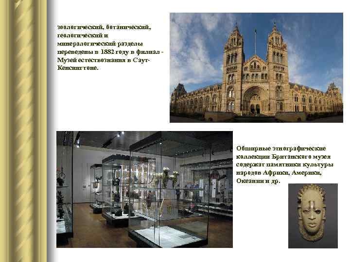 зоологический, ботанический, геологический и минералогический разделы переведены в 1882 году в филиал Музей естествознания