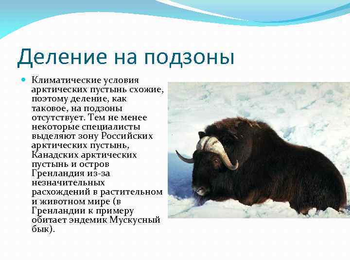 Деление на подзоны Климатические условия арктических пустынь схожие, поэтому деление, как таковое, на подзоны