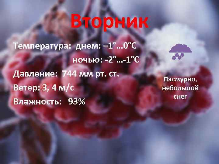 Вторник Температура: днем: − 1°… 0°C ночью: -2°…-1°C Давление: 744 мм рт. ст. Ветер: