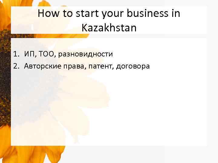 How to start your business in Kazakhstan 1. ИП, ТОО, разновидности 2. Авторские права,