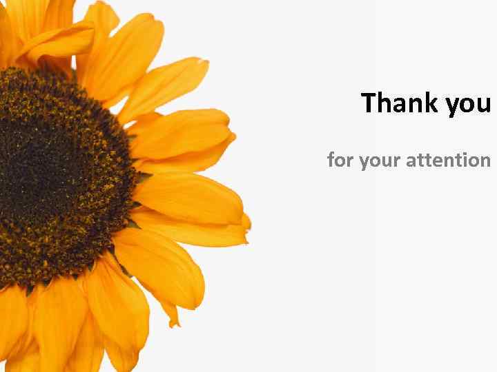 Thank you for your attention 