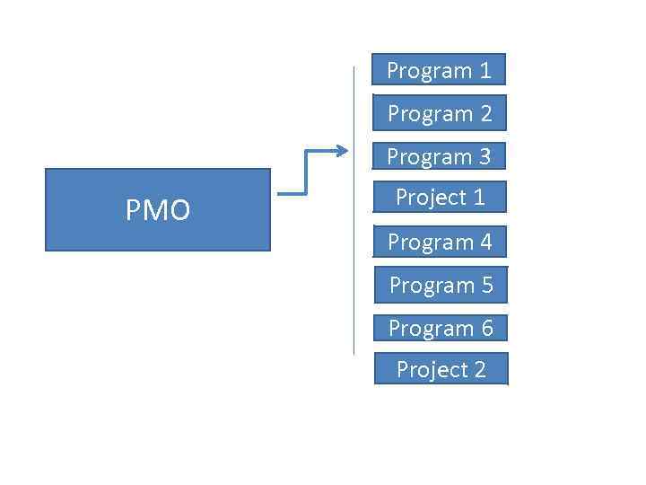 Program 1 Program 2 Program 3 PMO Project 1 Program 4 Program 5 Program