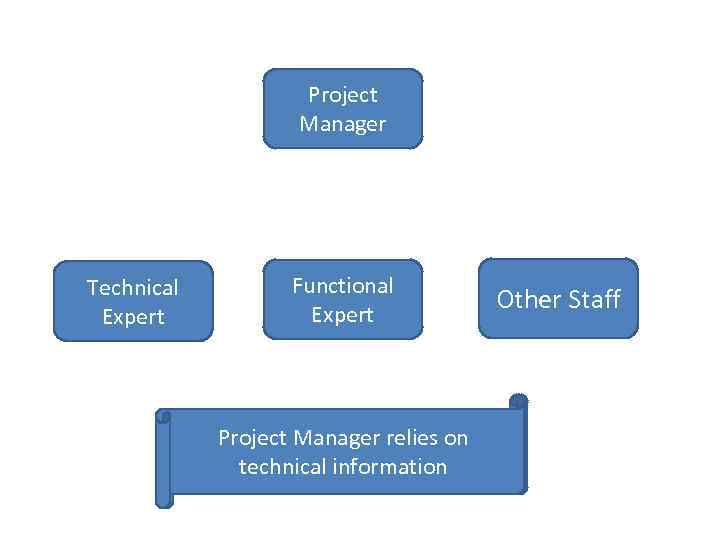 Project Manager Technical Expert Functional Expert Other Staff There are Manager relies on a