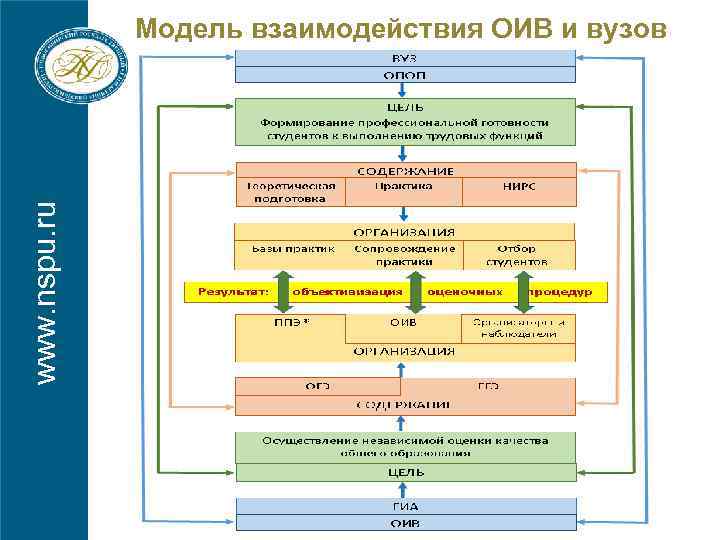 www. nspu. ru Модель взаимодействия ОИВ и вузов 