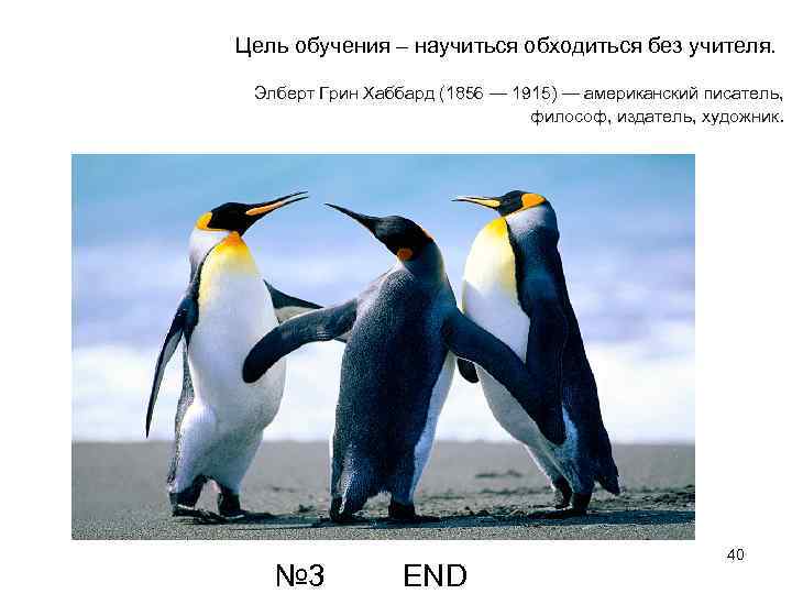 Цель обучения – научиться обходиться без учителя. Элберт Грин Хаббард (1856 — 1915) —