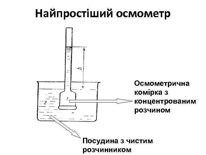 Найпростіший осмометр Осмометрична комірка з концентрованим розчином Посудина з чистим розчинником 