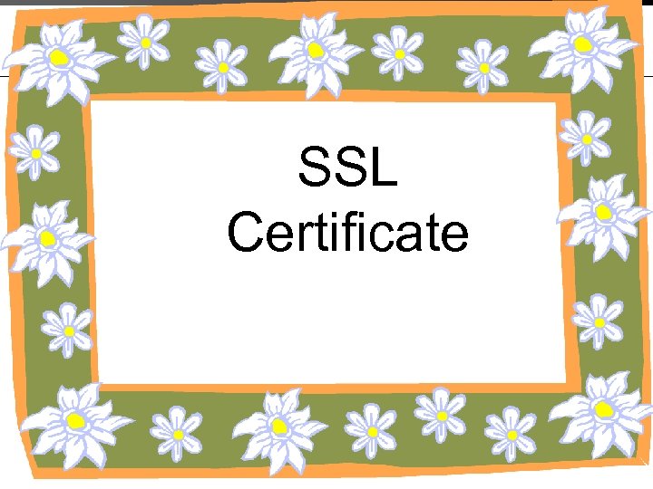 SSL Certificate 