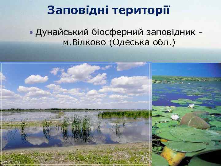 Заповідні території Дунайський біосферний заповідник - м. Вілково (Одеська обл. ) 