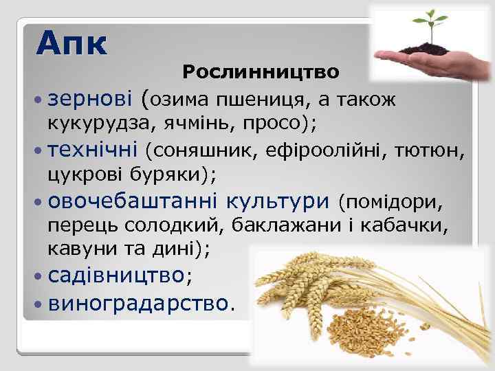 Апк Рослинництво зернові (озима пшениця, а також кукурудза, ячмінь, просо); технічні (соняшник, ефіроолійні, тютюн,